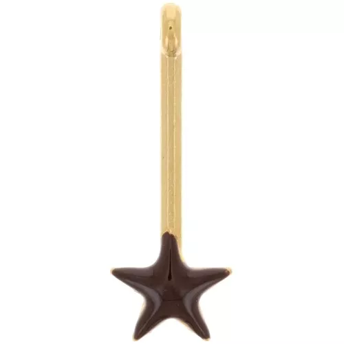 28x10mm Pendant bar with star and epoxy resin - Gold plated - Brown x1