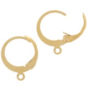 12mm Stainless steel 304 Round leverback earring - gold tone - open ring x2