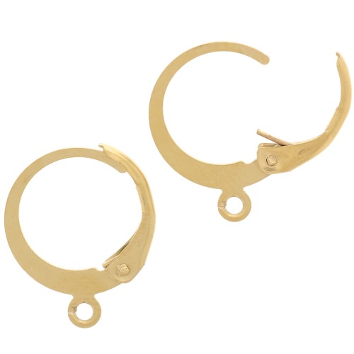 12mm Stainless steel 304 Round leverback earring - gold tone - open ring x2