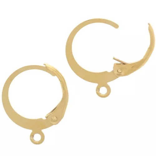 12mm Stainless steel 304 Round leverback earring - gold tone - open ring x2