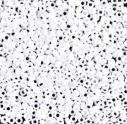 Miyuki Seed beads 11/0 402F - Opaque White Mat x8g