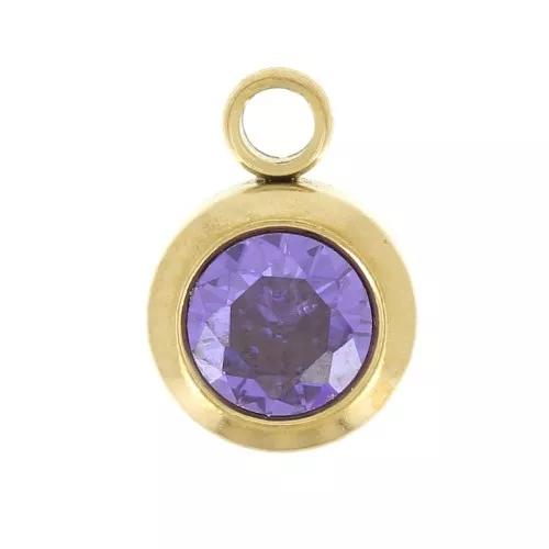 Birthstone charm zirconium oxide 6mm February Stainless steel304L Gold Amethyst