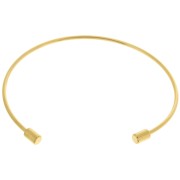 1.7mm Stainless steel 304 Bracelet with unscrewable tube - Gold Tone x1|raw }}