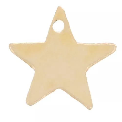 8mm star Sequin - Gold filled x1