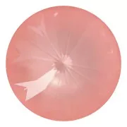 12mm PureCrystal 1122 Rivoli Round Stone - Crystal Flamingo Ignite x1