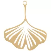 26x22mm Stainless Steel 316L Ginkgo Pendant - Gold Tone x1