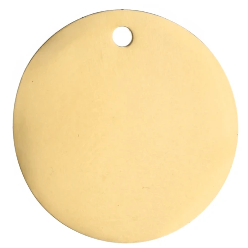 25mm Stainless Steel 316L Round Pendant - Gold Tone x1