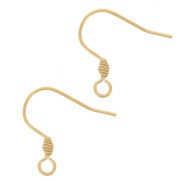 17mm Stainless steel 304 Earwires with open ring - Gold Tone x2|raw }}