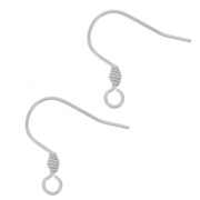 17mm Stainless steel 304 Earwires with open ring x2|raw }}