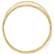 0.6mm 304L Stainless Steel Round Flexible Wire - Gold Tone x5m