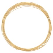 0.8mm 304L Stainless Steel Round Flexible Wire - Gold Tone x4m|raw }}