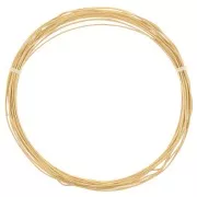0.8mm 304L Stainless Steel Round Flexible Wire - Gold Tone x4m