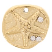 11mm Stainless steel 304L Irregular Round Charm - Starfish and CZ - Gold x1|raw }}