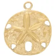 15mm Stainless steel 304L Charm Sand dollar irregular - Gold x1