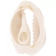 18 to 20mm Cauri shells with epoxy resin - Natural - Dark gold glitter x1