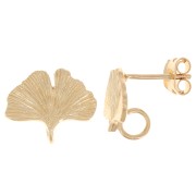 11x15mm Ginkgo leaf earstuds open ring - 3 microns Gold-plated x2