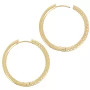 31mm 304 stainless steel Smooth and hammered round leverback earrings - Gold x2