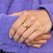 Fine shell ring - Size 54 to 56 - Fine Gold-plated x1