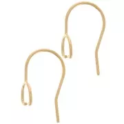 14x8mm Pendant earwires - Gold Filled x2