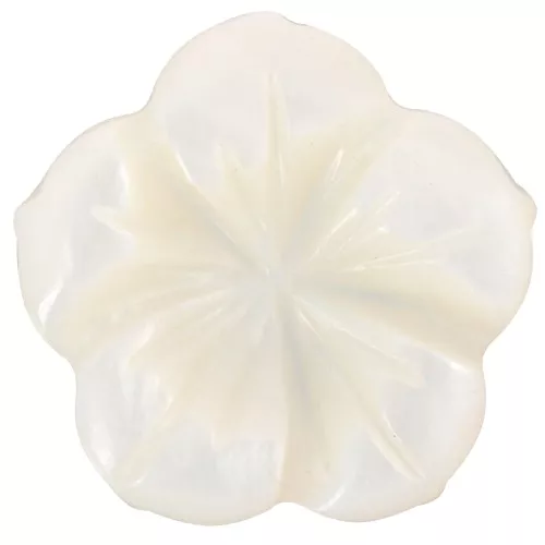 15mm mother-of-pearl flower cabochon - Natural x1