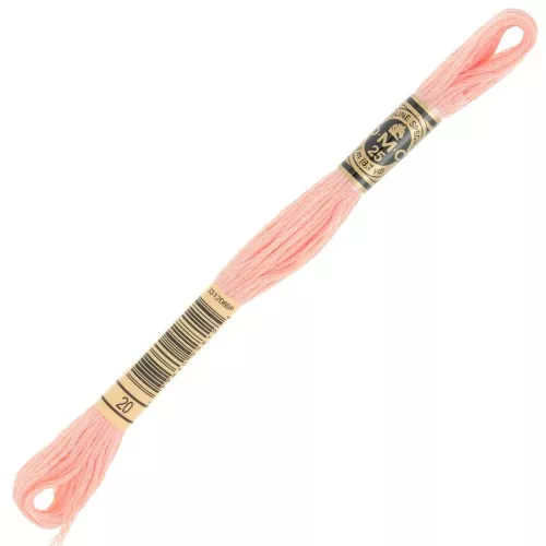 Embroidery thread DMC Mouliné Spécial 117 MC - Surimi (20) x8m