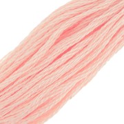Embroidery thread DMC Mouliné Spécial 117 MC - Sand Rose (353) x8m