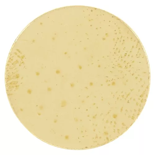 Round plate - 15mm disc - 0.8mm thickness - Rough brass x1