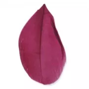Feathers 6 cm Dark Fuschia x3gr