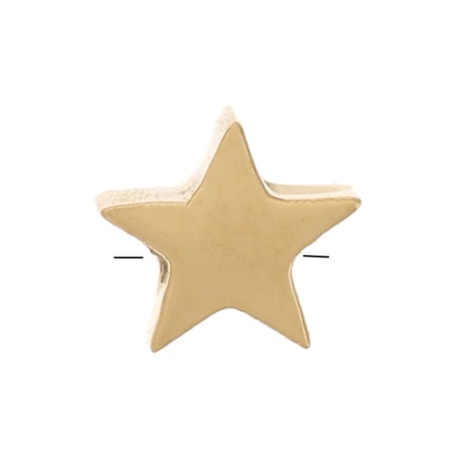 4mm 316L stainless steel flat star bead - Gold x1
