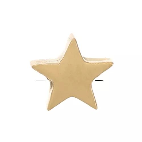 4mm 316L stainless steel flat star bead - Gold x1