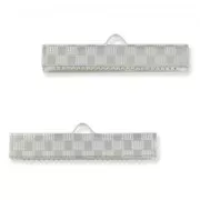 Crimp-end for ribbon decorated 30mm Silver tone x2