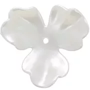 36mm plastic Flower pendants - Pearlescent white x10
