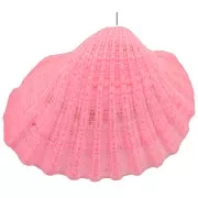 Dyed shell pendant 16 to 20mm - Pink x1