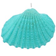 Dyed shell pendant 16 to 20mm - Turquoise x1|raw }}