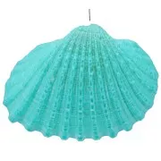 Dyed shell pendant 16 to 20mm - Turquoise x1