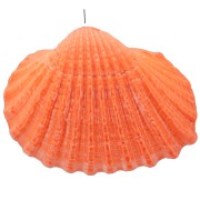 Dyed shell pendant 16 to 20mm - Orange x1