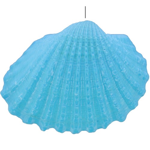 Dyed shell pendant 16 to 20mm - Blue x1