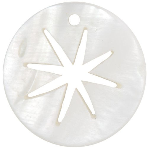 20mm Round mother-of-pearl pendant - openwork North Star pattern - Natural x1
