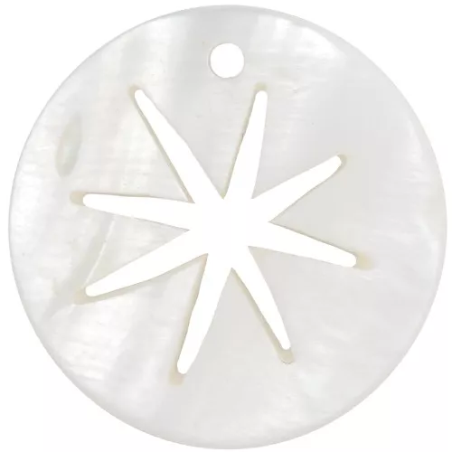 20mm Round mother-of-pearl pendant - openwork North Star pattern - Natural x1