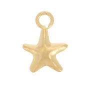 8x5.5mm Mini star charm - Gold filled x1|raw }}