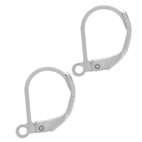 16mm 304 stainless steel leverback earrings x20