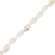 10mm Mini shells - Natural x146cm|raw }}