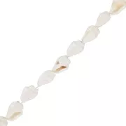 10mm Mini shells - Natural x146cm