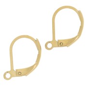 16mm 304L stainless steel leverback earrings - Gold x2|raw }}