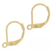 16mm 304L stainless steel leverback earrings - Gold x2