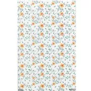 13.5x9cm VeroS transfer sheet 100% soluble for polymer clay - N°042 x1