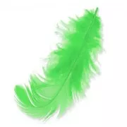 Feathers 8 to 12 cm Aniseed green x3gr