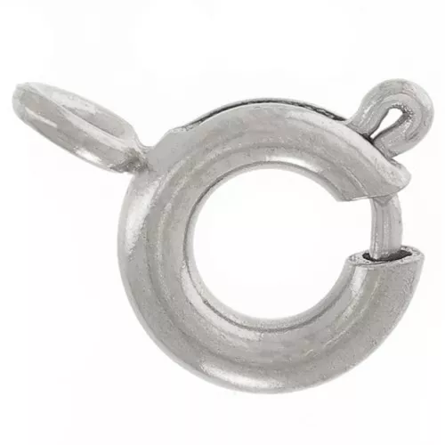 6mm 304 stainless steel spring clasp with closed ring x1