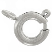 6mm 304L stainless steel spring clasps with closed ring x10|raw }}
