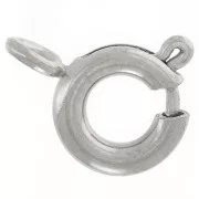6mm 304L stainless steel spring clasps with closed ring x10